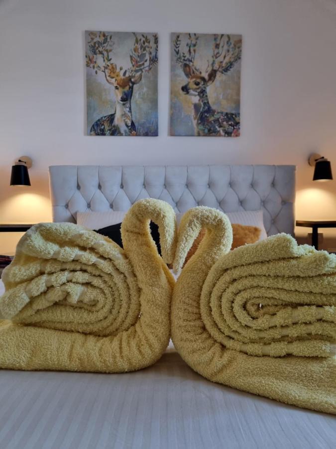Zlatar Holidays Apartmani Nova Varoš Esterno foto