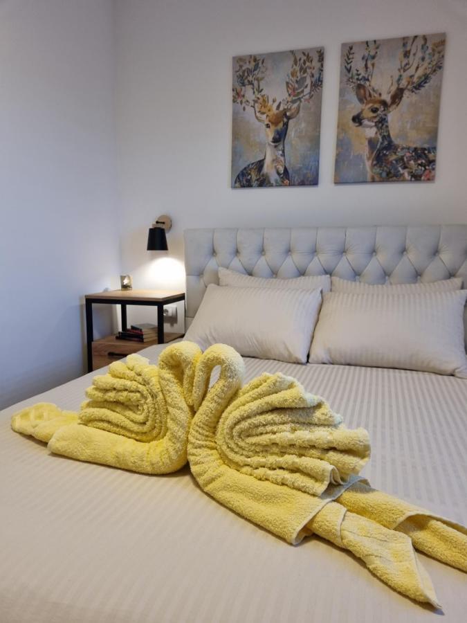 Zlatar Holidays Apartmani Nova Varoš Esterno foto